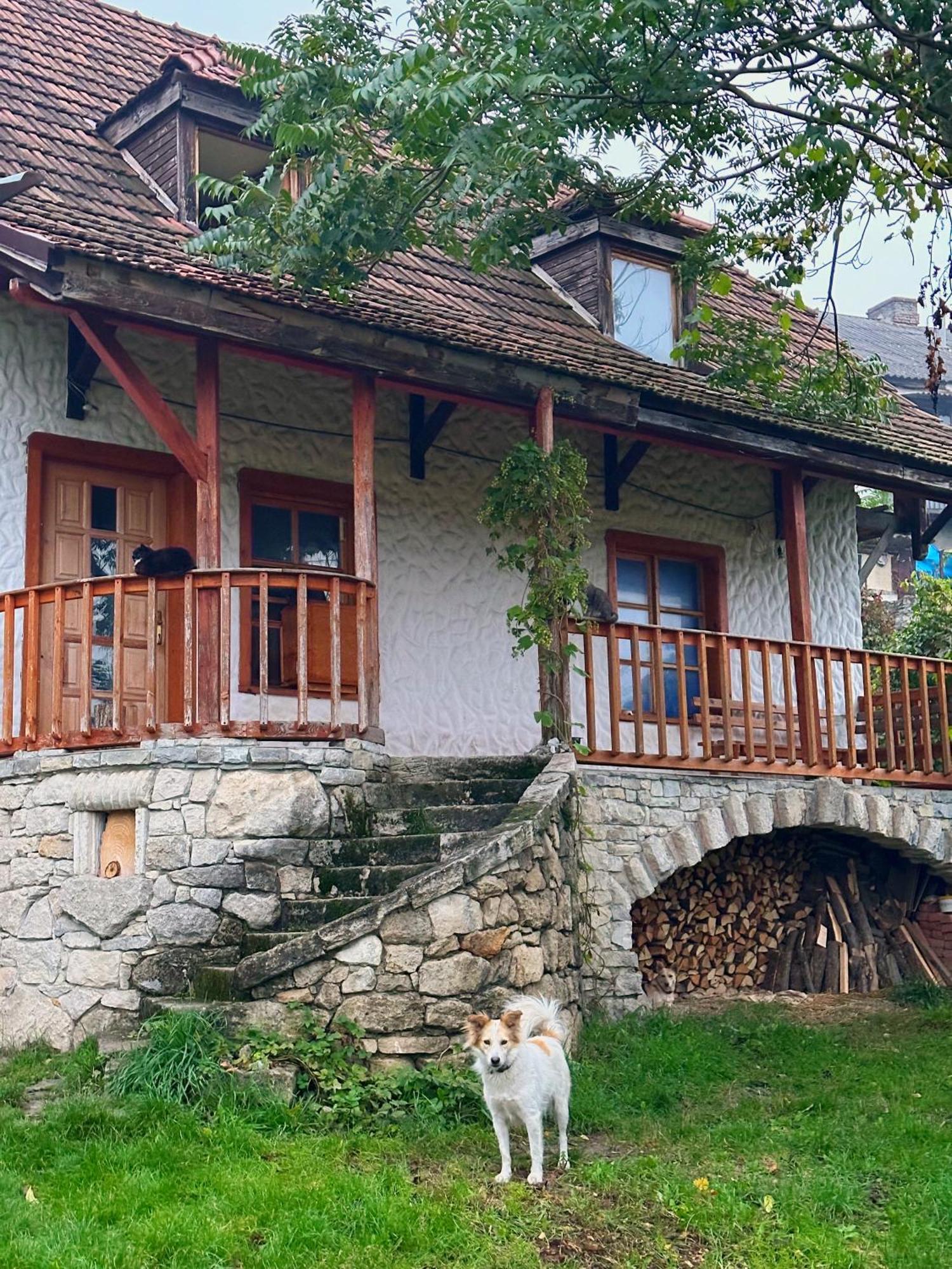 Tisnyi 7 Guest House Kamianets-Podilskyi Exterior photo